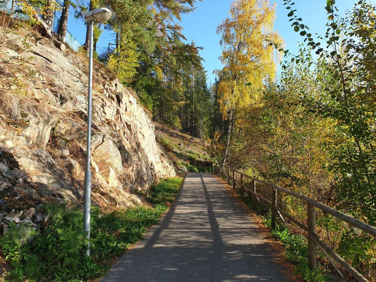 Lipno Nad Vltavou - Apartman 23 - Wifi, Parking, Netflix Bagian luar foto